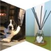 Brodie's Hearth Reed Diffuser