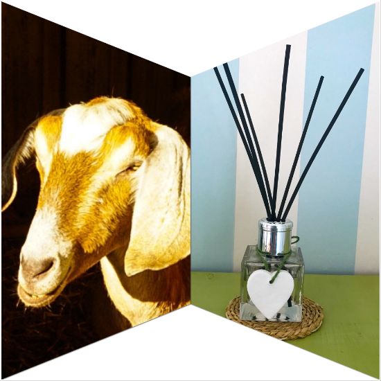 Katie's Meadow Reed Diffuser