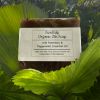 Picture of Sea Kelp