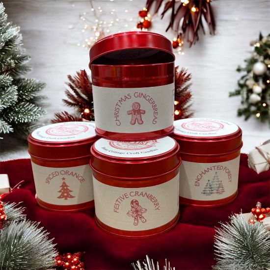 Picture of Enchanted Forest